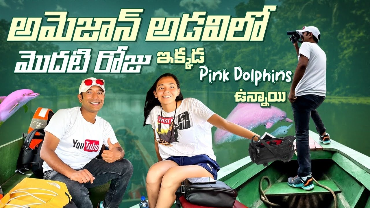 Amazon Rainforest Tour | Amazon Pink Dolphin