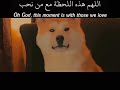 سـتوريآت آنسـتآه اللهم هذه اللحظة مع من نحب سـتوريآت قصـيره حآلآت وتسـآبــ سـتوريآت آنسـتآه اللهم هذه اللحظة مع من نحب سـتوريآت قصـيره حآلآت وتسـآبــ
