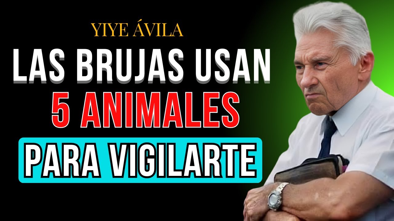 5 Animales que las BRUJAS Usan para VIGILAR Cada uno de tus Movimientos - Yiye Ávila
