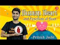 Human Heart and Function of Heart | Working of Human Heart | Structure of Human Heart | Vedantu