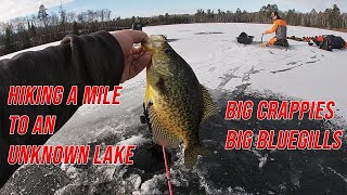 Catching Big Crappies and Bluegills on Early Season Ice *Hiking to Hidden Lake* (Season 2 Episode 1)