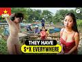 This Is Real Life in Vietnam: Beautiful Women, Affordable Prices, An Unimaginable Life | Documentary