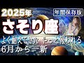 【2025 さそり座】2025年蠍座の運勢　よく耐えてきた！やっと報われる6月から一新