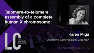 Telomere-to-telomere assembly of a complete human X chromosome | Karen Miga