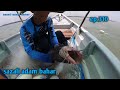 Menjaring ikan bawal tapi dapat sembilang besar ep.310