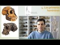 Introducción a la hominización y el registro fósil de los homininos
