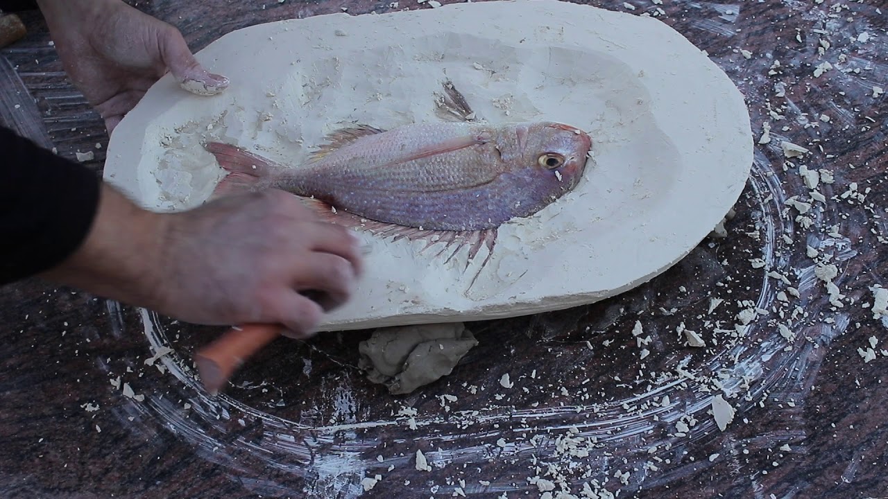 🐟 MOULER UN POISSON, AU PLATRE