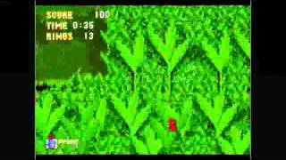 Celebrity Record Of The 16-Bit War: Sonic vs Mario Wealth