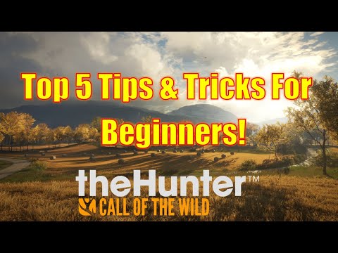 download the hunter call of the wild beginners guide 2022
