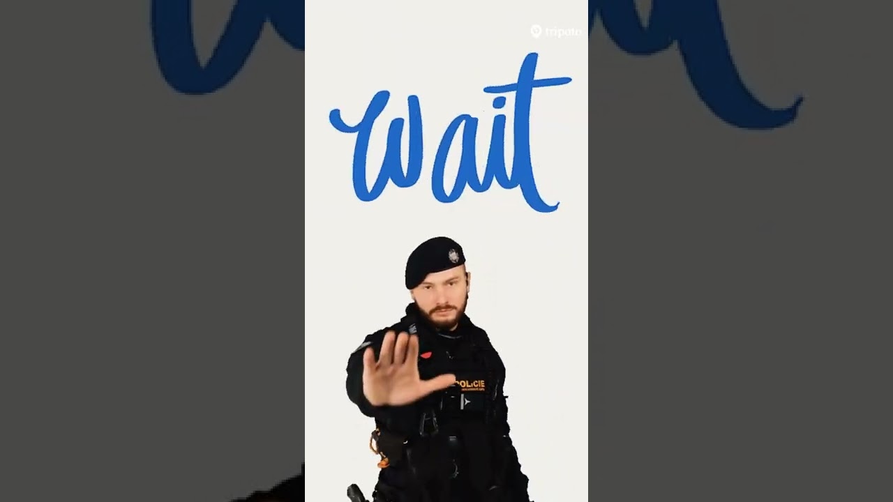 Ad-Reel/Yt Shorts