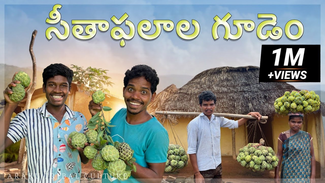 ఊరునిండ సీతాఫలాలే - ఊటగెడ్డ గిరిజన గ్రామం | Araku Tribal Villages