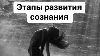 Этапы развития сознания от уровня к уровню