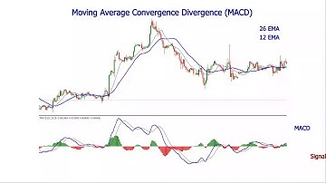 MACD Indicator-2Line for MT4 Explained