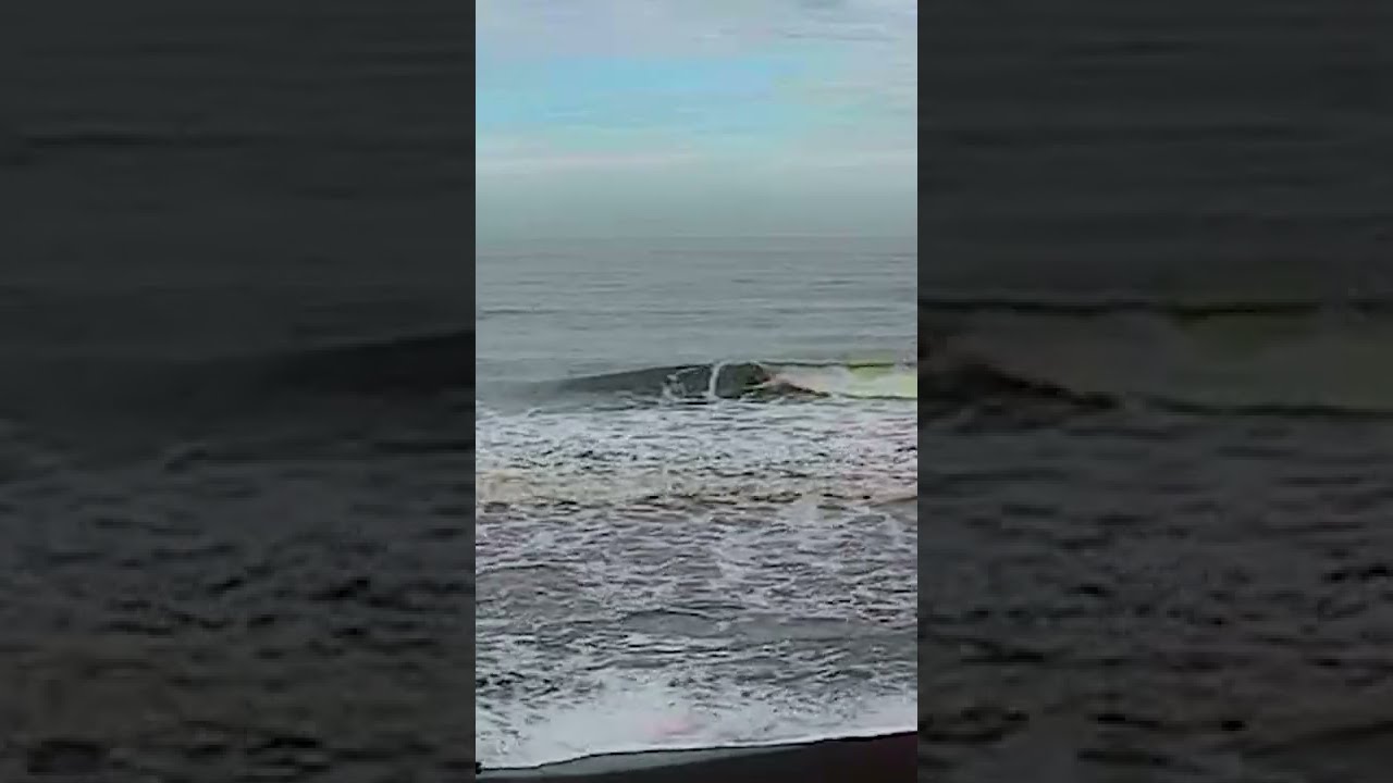 Clips