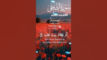 تلاوة خاشعة عطرة مباركة جميلة عذبة للشيخ سعد الغامدي سورة الضحى