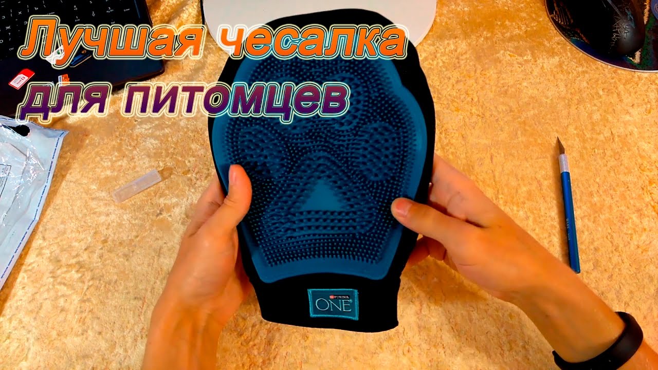Лучшая Расчёска для кошек. Чесалка для кошек. Расчёска для кошек купить ...