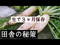長期保存/クリスマスオーナメント/柚搾り