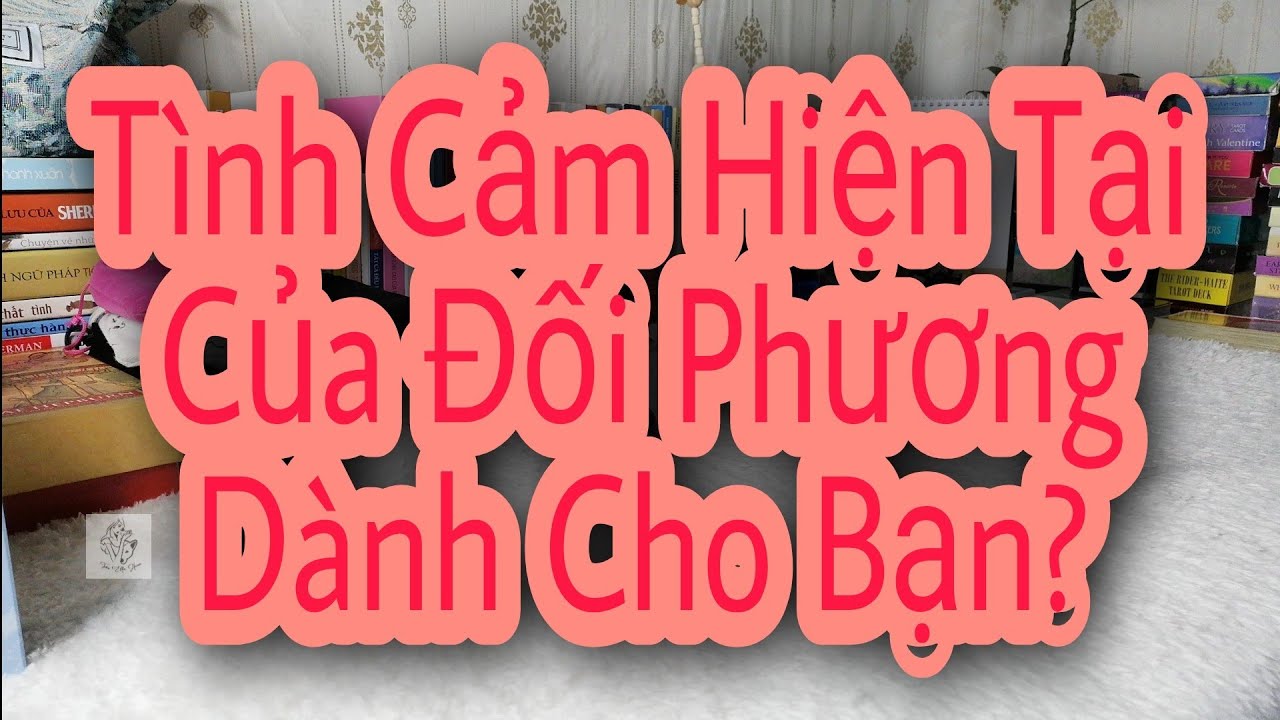 Tình Cảm Hiện Tại Của Đối Phương Dành Cho Bạn?_Tarot thông điệp.