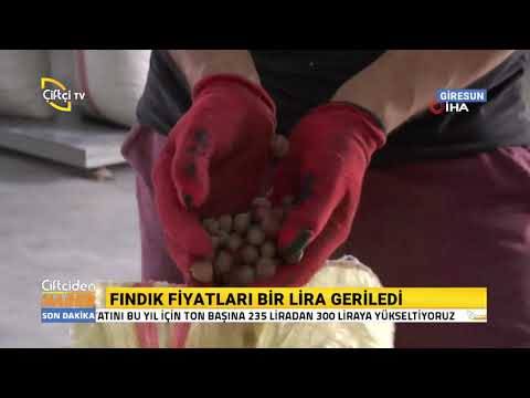 Fındık Fiyatları Bir Lira Geriledi