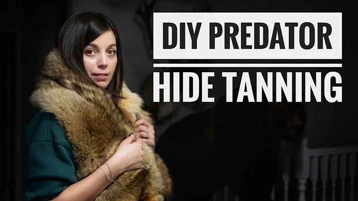 How to Tan a Coyote Hide at Home | Step-by-Step for Soft, Lasting Fur