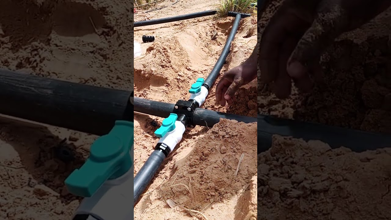 طريقة تركيب شبكة الري بالتقطير للخضروات بين اشجار النخيل