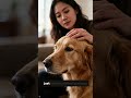 What Dogs Teach Us About TRUE Health & Happiness (Science-Backed) #dog #pets #puppy #viral #doglife