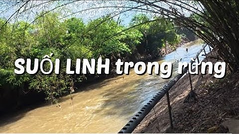 Khám Phá Rừng Suối Linh Thiêng Nơi Ít Ai Biết Đến