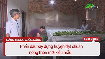 Phấn đấu xây dựng huyện đạt chuẩn nông thôn mới kiểu mẫu  | Lâm Đồng TV