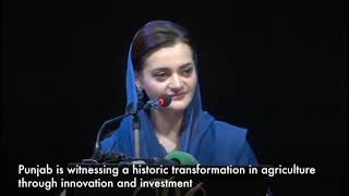 Transforming Agriculture | From Subsistence to Tech-Driven Growth in Punjab