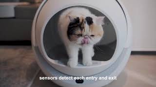 Automatic Self Cleaning Cats Smart Sandbox from Shopowow screenshot 5