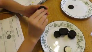 Oreo Moon Phases
