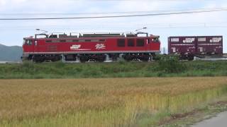 EF510-11　4076レ　2013.06.01　琵琶湖線