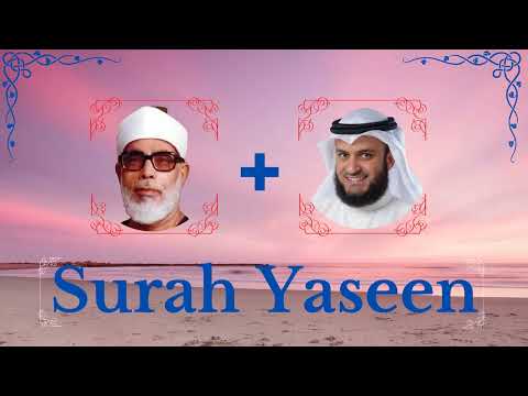 Mahmoud Khalil Al-Hussary + Mishary Rashid Alafasy || Surah Yaseen ||