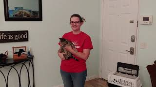 Preparedness Tip - Crating Animals for Evacuation
