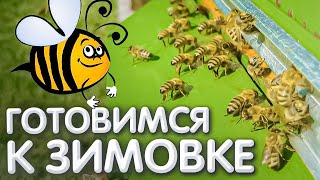 ГОТОВИМ ПЧЁЛ к зимовке.