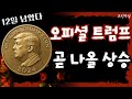 오피셜트럼프 호재 12일 남았다! 아직 한발 남은 전망 확인하세요.