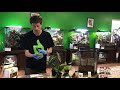 How to setup a bioactive terrarium for a Green or Gray Tree Frog. Self-Cleaning/Self-Maintaining.