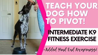 K9 Fitness Exercise: Pivot + Hind End Challenge Using The FitPaws Balance Pad