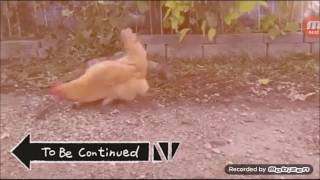 Devam Edecek To Be Continued Videolari