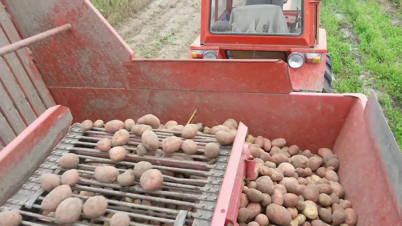 T 25 плюс комбайн GRIMME