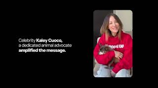 Subaru National Make a Dog’s Day - Carmichael X Open Influence National Make A Dogs Day 2025