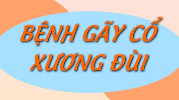 GÃY CỔ XƯƠNG ĐÙI - BỆNH LÝ NGƯỜI CAO TUỔI | TƯ VẤN CÁCH PHÒNG NGỪA TỪ BÁC SĨ