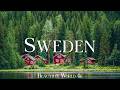 Sweden 4K Glassy Forest Lakes Golden Autumn Taiga Nordic Mountain Valleys 