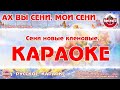 Караоке - "Ах вы сени, мои сени" | Русская Народная Песня на RetroTv