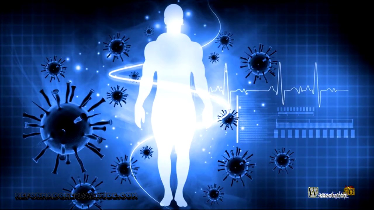 Vídeo: Sistema inmunitario y virus