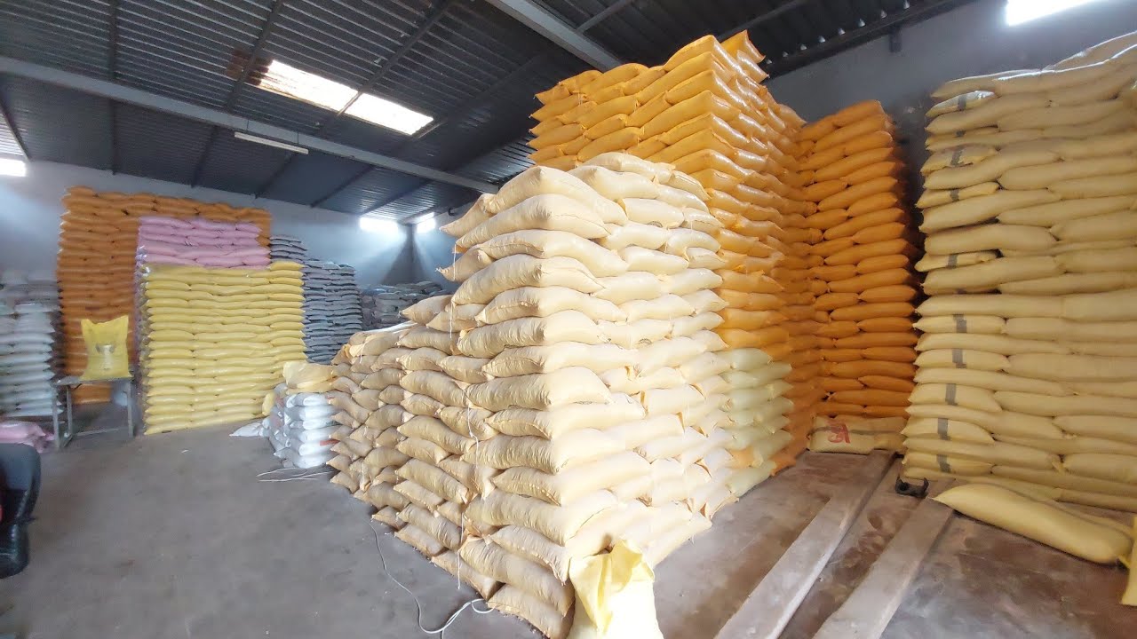 مباشرة من مدينة برشيد أحيو نتعرفو أتمنة جميع أنواع أعلاف وفرجة ممتعة