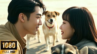 奇幻爱情电影!三只萌犬牵红线,都市男女遇见真爱,笑泪交织上演人宠奇缘 #最新电影 #华语电影