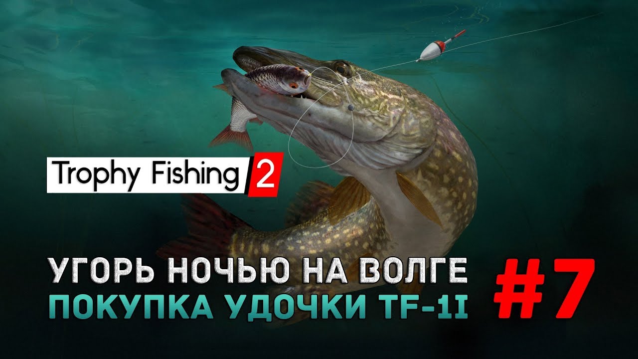 Угорь в волге