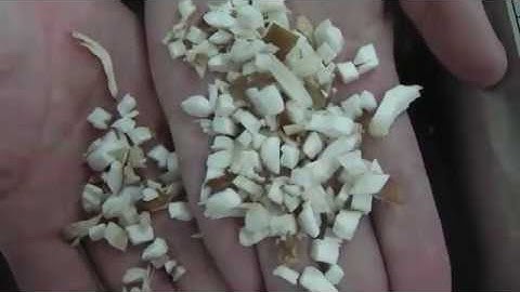 Máy cắt hạt lựu nấm đông cô, nấm hương DC-203