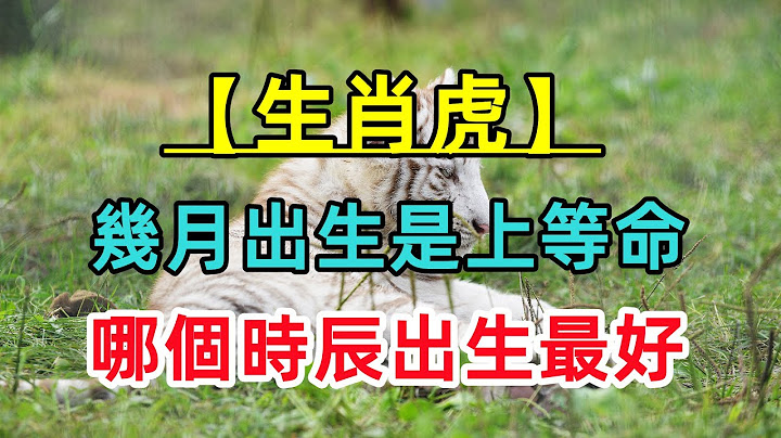【生肖虎】屬虎人幾月出生是上等命？哪個時辰出生最好？一生非富即貴！ - 天天要聞